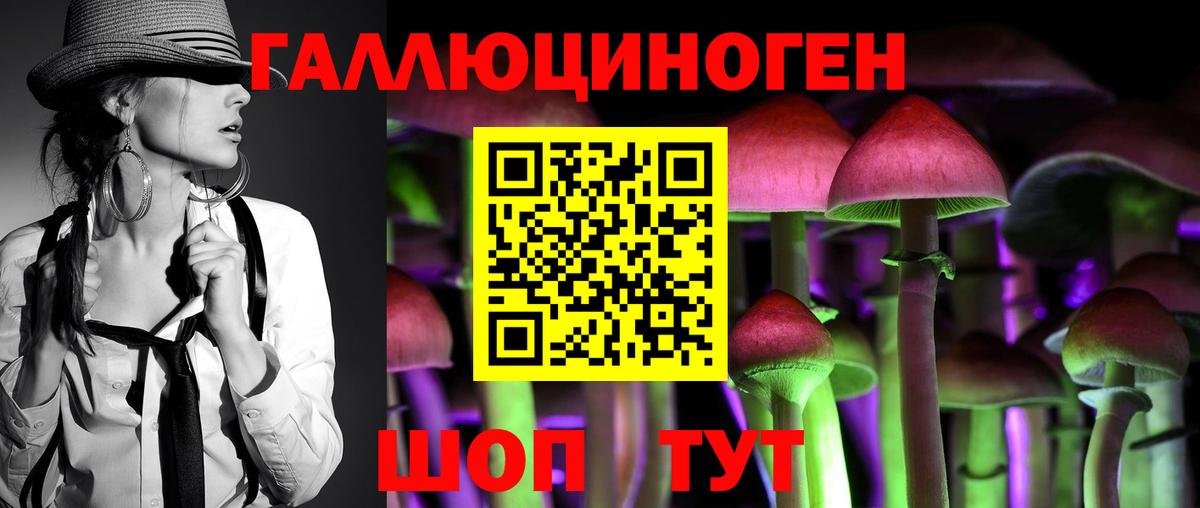 Псилоцибиновые грибы мицелий  Вход с VPN  Ногинск 