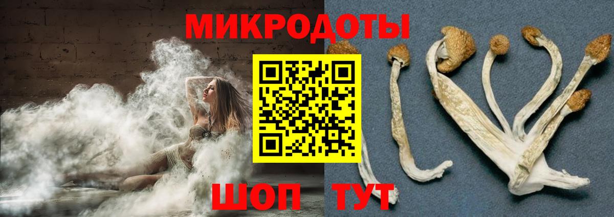 Галлюциногенные грибы Cubensis Ногинск